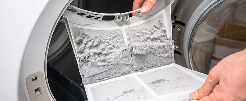 Best Dryer Lint Removal Company in Victorville, California
